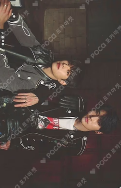 IN生 STANDARD VER.
