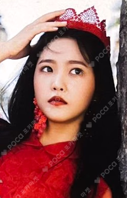 Perfect Velvet PHOTO CARD Collect Book