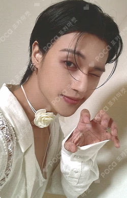 GOLDEN HOUR : Part.2 POP-UP STORE Ice On My Teeth CARD HOLDER / Magsafe