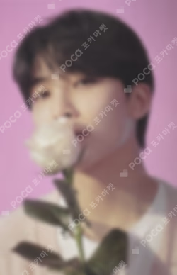SEVENTEEN 2022 JAPAN FANMEETING HANABI Photo Card