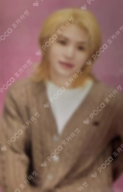 2024 SVT 8TH FAN MEETING SEVENTEEN in CARAT LAND Trading Card Set