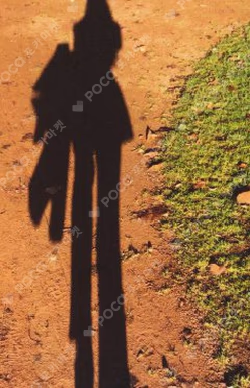 'The ReVe Festival’ Day 2 Day 2 ver. IRENE photocard image