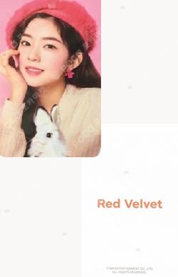 2019 SEASON'S GREETINGS 11st IRENE photocard image