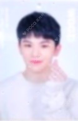 SEVENTEEN 2019 JAPAN TOUR 'HARU' TRADING CARD