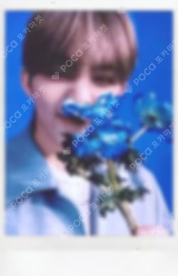 SEVENTEEN 2022 JAPAN FANMEETING HANABI Instant Photo Card