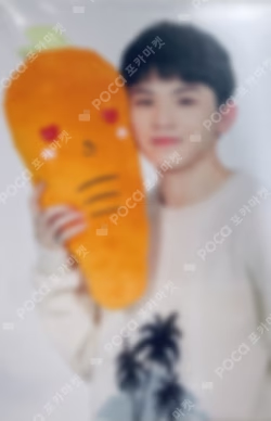 SEVENTEEN 2019 JAPAN TOUR 'HARU' TRADING CARD