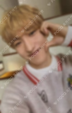 2024 SVT 8TH FAN MEETING SEVENTEEN in CARAT LAND Trading Card Set
