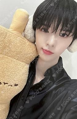 ONE QUESTION DEAR MY MUSE