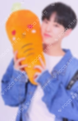 SEVENTEEN 2019 JAPAN TOUR 'HARU' TRADING CARD