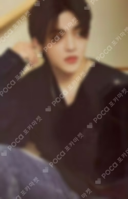 2024 SVT 8TH FAN MEETING SEVENTEEN in CARAT LAND Trading Card Set