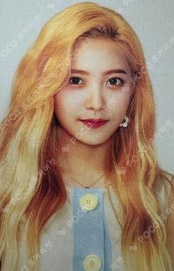 Red Velvet 1st Concert Red Room PHOTO CARD COLLECT BOOK YERI photocard image