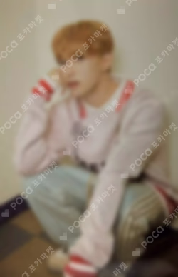 2024 SVT 8TH FAN MEETING SEVENTEEN in CARAT LAND Trading Card Set