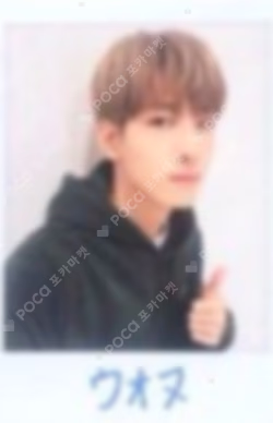 SEVENTEEN 2018 JAPAN ARENA TOUR 'SVT' TRADING CARD