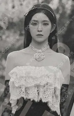 Red Velvet Arena Tour in JAPAN La Rouge CD/DVD& Blu-ray