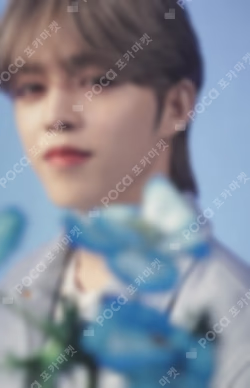 SEVENTEEN 2022 JAPAN FANMEETING HANABI Photo Card