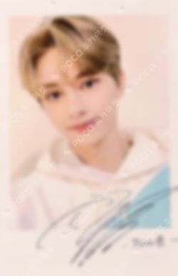 2020 SVT 4th FAN MEETING SEVENTEEN in CARAT LAND POLAROID CARD SET