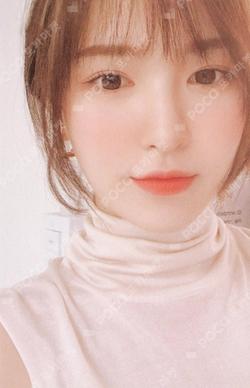 2020 SEASON'S GREETINGS WENDY photocard image