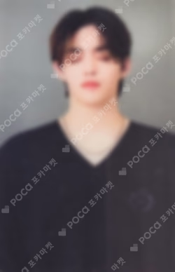 2024 SVT 8TH FAN MEETING SEVENTEEN in CARAT LAND Lenticular Photo Set
