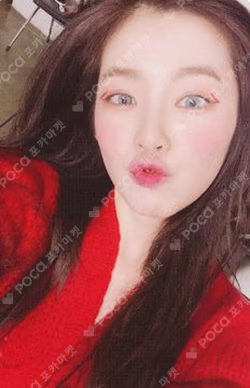 'The ReVe Festival’ Finale Scrapbook Ver.