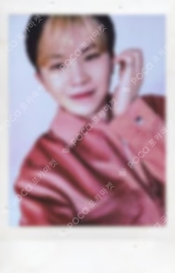 SEVENTEEN 2022 JAPAN FANMEETING HANABI Instant Photo Card