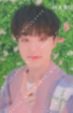 SEVENTEEN 2019 JAPAN TOUR 'HARU' TRADING CARD