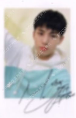2020 SVT 4th FAN MEETING SEVENTEEN in CARAT LAND POLAROID CARD SET