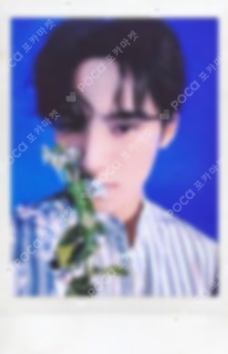 SEVENTEEN 2022 JAPAN FANMEETING HANABI Instant Photo Card