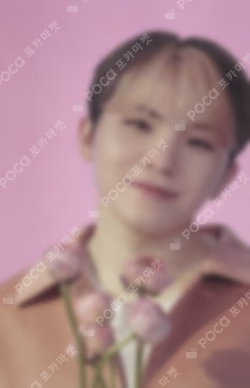 SEVENTEEN 2022 JAPAN FANMEETING HANABI Photo Card