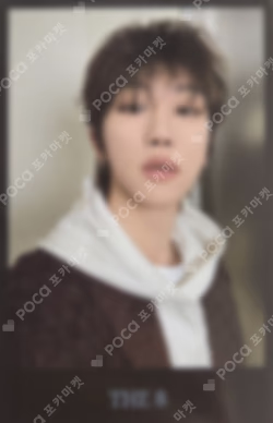 2024 SVT 8TH FAN MEETING SEVENTEEN in CARAT LAND Instant Photo Card Set