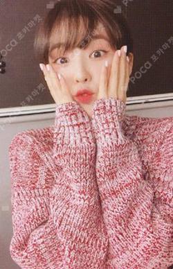 'The ReVe Festival’ Finale Scrapbook Ver.