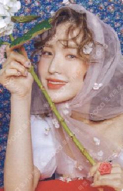 Red Velvet WENDY photocard image