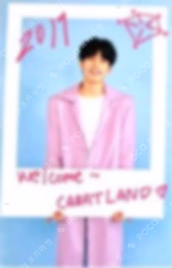 2019 SVT 3rd FAN MEETING SEVENTEEN in CARAT LAND TRADINGCARD SET