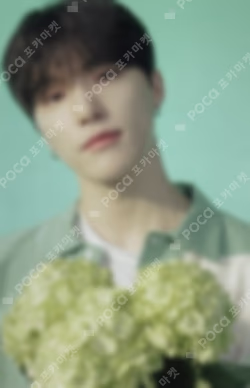 SEVENTEEN 2022 JAPAN FANMEETING HANABI Photo Card