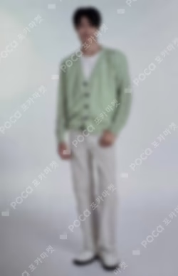 SEVENTEEN 2022 JAPAN FANMEETING HANABI Photo Card