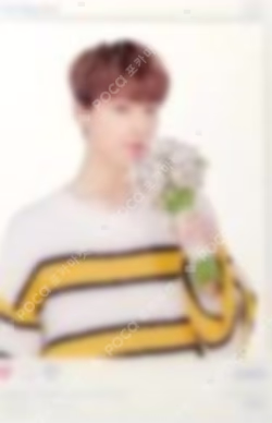 SEVENTEEN 2019 JAPAN TOUR 'HARU' TRADING CARD