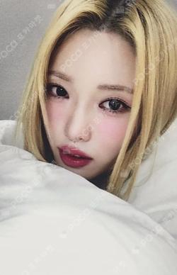 appendix: Of All We Have Lost MAKESTAR HARAM photocard image