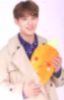 SEVENTEEN 2019 JAPAN TOUR 'HARU' TRADING CARD