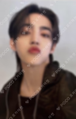 SEVENTEEN TOUR FOLLOW TO JAPAN PHOTO CARD S.COUPS photocard image