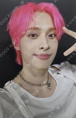 LIVE and FALL 2024 YEARBOOK SET Gaon photocard image