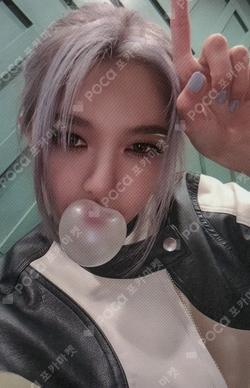 Apocalypse : From us W ver. LIMITED DAMI photocard image