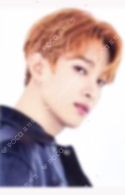 SEVENTEEN 2021 JAPAN SPECIAL FANMEETING 'HARE' TRADING CARD