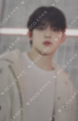 SEVENTEEN TOUR FOLLOW AGAIN TO JAPAN PHOTO CARD