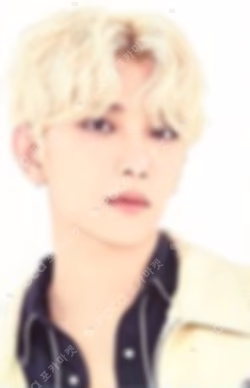 SEVENTEEN 2021 JAPAN SPECIAL FANMEETING 'HARE' TRADING CARD