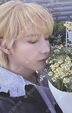 DREAMSCAPE Walmart Exclusive RENJUN photocard image