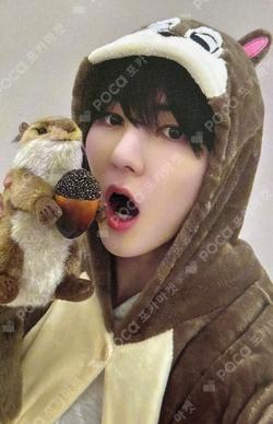 ONE QUESTION SOUND WAVE SEUNGMO photocard image