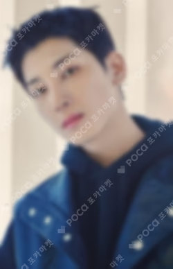 SEVENTEEN TOUR FOLLOW TO JAPAN PHOTO CARD