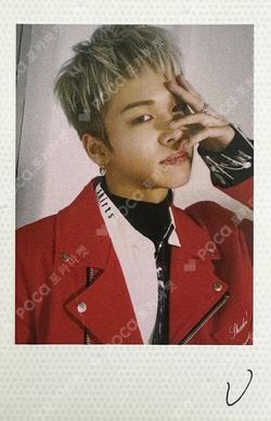 WE MUST LOVE POLAROID SET