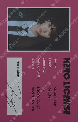 TROUBLESHOOTER ID CARD