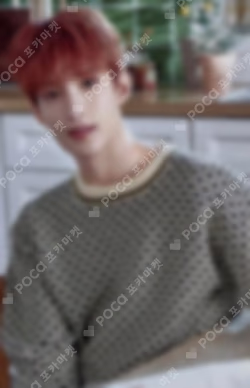 23 SEVENTEEN's HOME PHOTO CARD