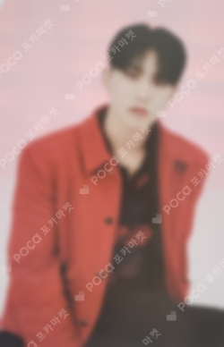SEVENTEEN TOUR FOLLOW TO SEOUL Trading Card Set